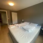 Apartman - Center - Modern